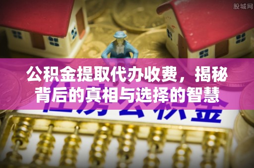 浪卡子公积金提取代办收费，揭秘背后的真相与选择的智慧