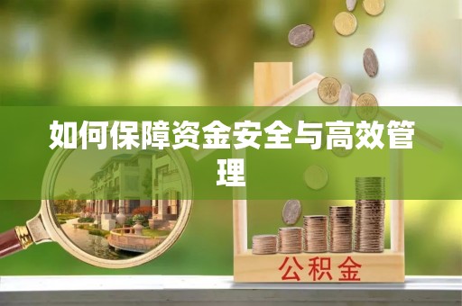 浪卡子如何保障资金安全与高效管理