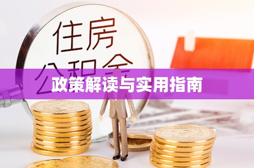 浪卡子政策解读与实用指南