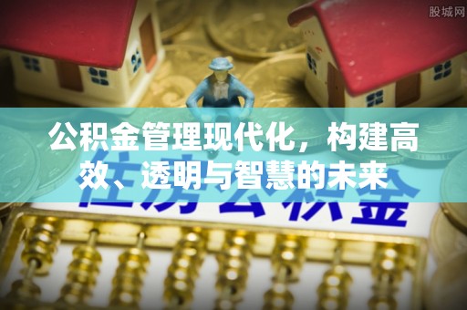 浪卡子公积金管理现代化，构建高效、透明与智慧的未来