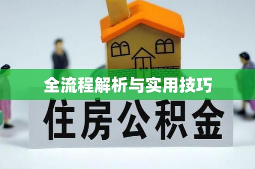 浪卡子全流程解析与实用技巧