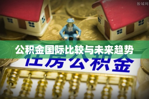 浪卡子公积金国际比较与未来趋势