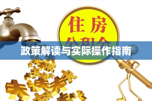 浪卡子政策解读与实际操作指南