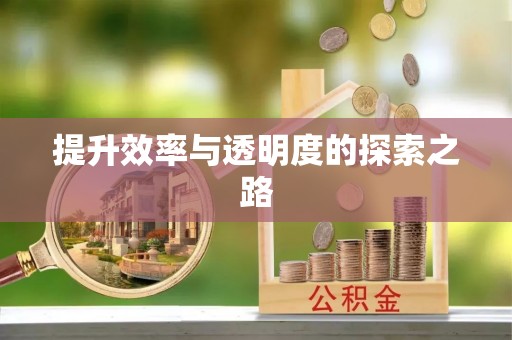浪卡子提升效率与透明度的探索之路