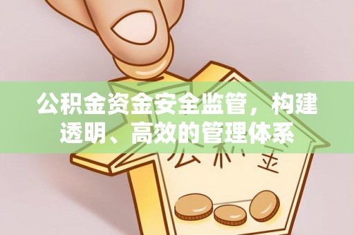 浪卡子公积金资金安全监管，构建透明、高效的管理体系