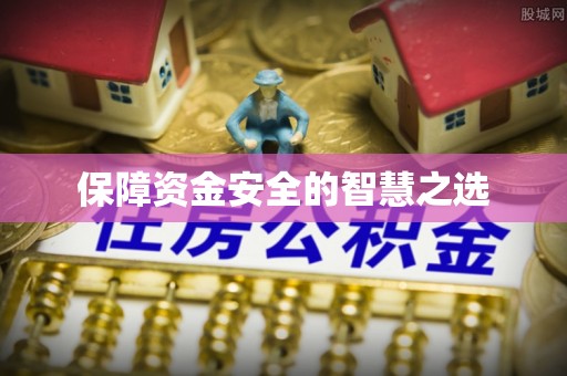 浪卡子保障资金安全的智慧之选