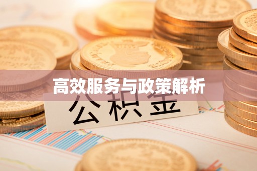 浪卡子高效服务与政策解析