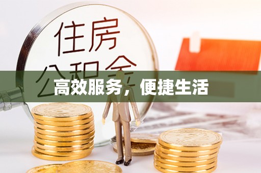 浪卡子高效服务，便捷生活