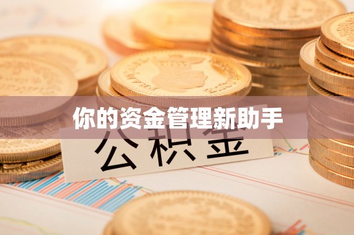 浪卡子你的资金管理新助手