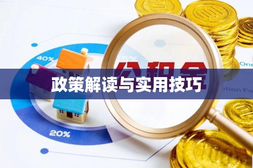 浪卡子政策解读与实用技巧