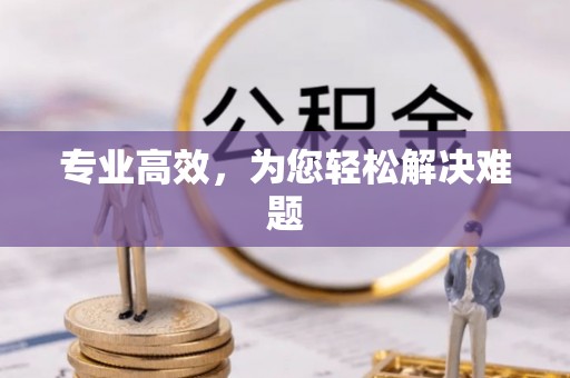 浪卡子专业高效，为您轻松解决难题