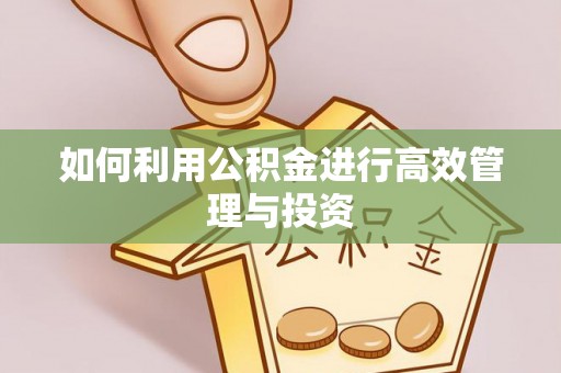 浪卡子如何利用公积金进行高效管理与投资