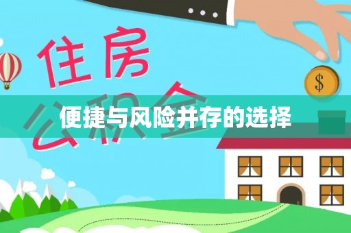 浪卡子便捷与风险并存的选择
