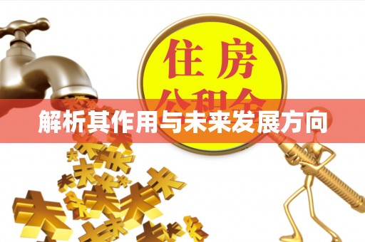 浪卡子解析其作用与未来发展方向