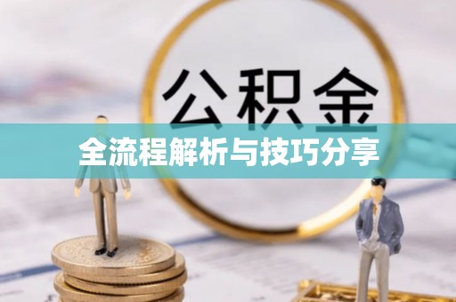 浪卡子全流程解析与技巧分享
