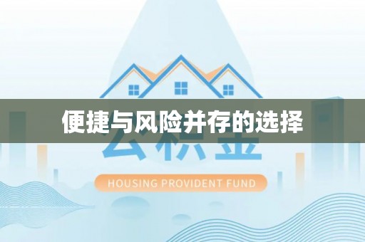 浪卡子便捷与风险并存的选择