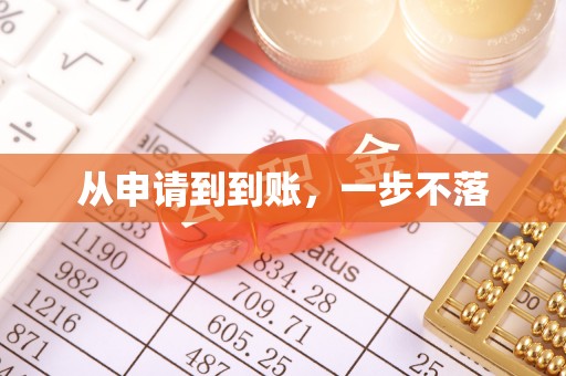 浪卡子从申请到到账，一步不落