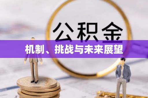 浪卡子机制、挑战与未来展望